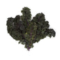 Wholesale BoxNCase Organic Red Kale- Bulk