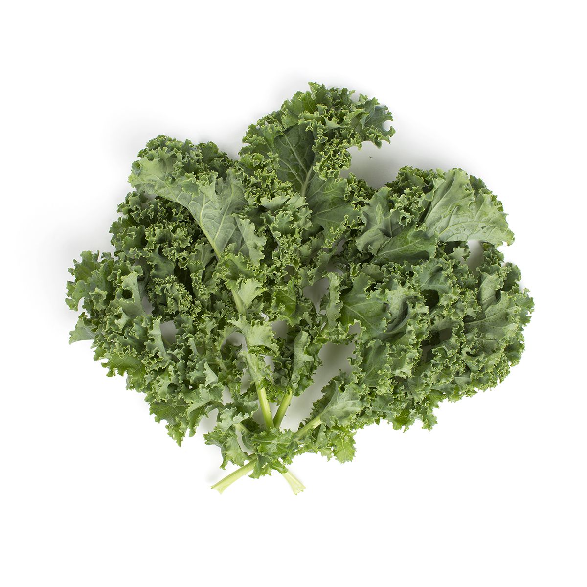 Wholesale Lancaster Farm Fresh Organic Green Kale-24 CT Bulk