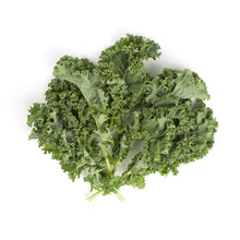 Wholesale Lancaster Farm Fresh Organic Green Kale- Bulk