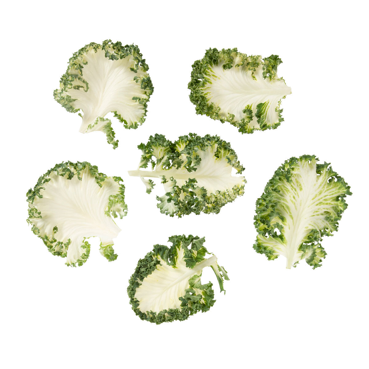 County Line Harvest Organic Casper Baby Kale
