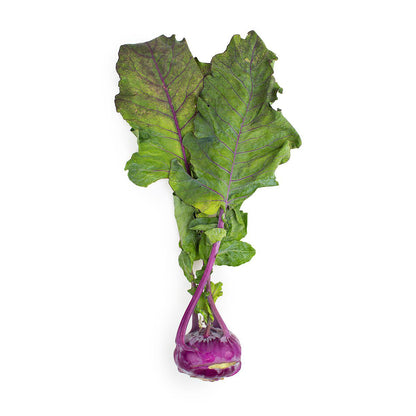 Wholesale Norwich Meadows Farm Organic Purple Kohlrabi- Bulk