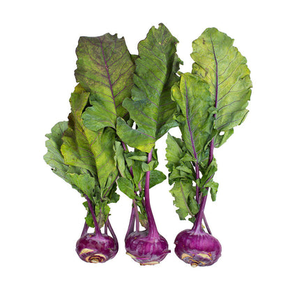 Wholesale Norwich Meadows Farm Organic Purple Kohlrabi- Bulk
