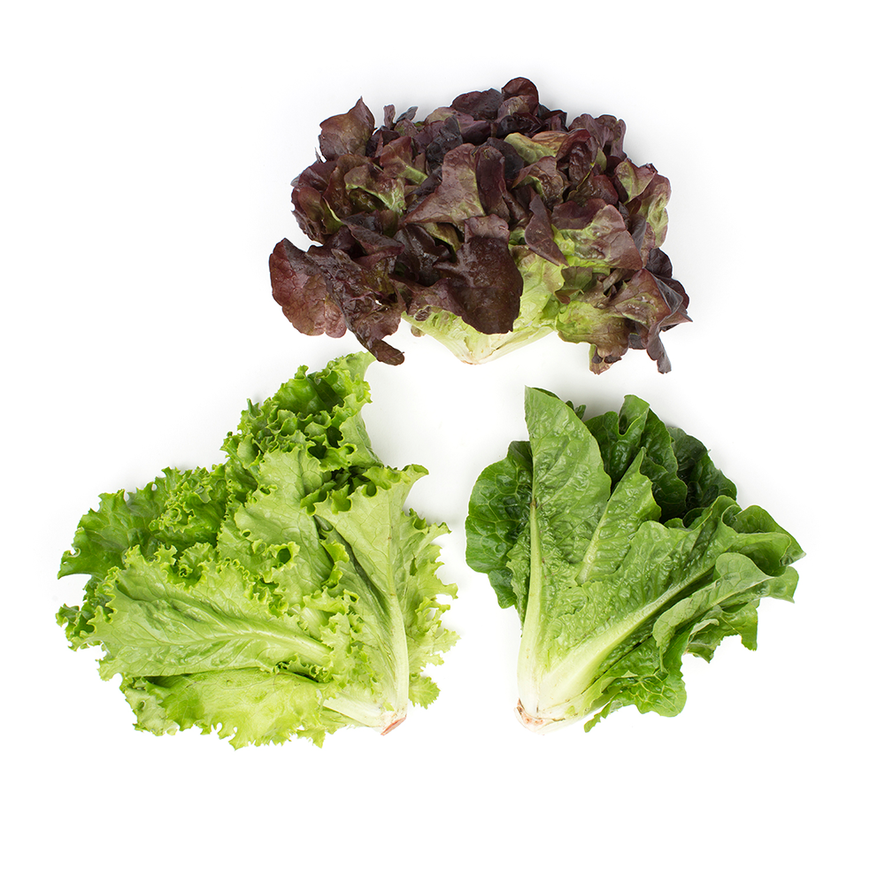 Kroger Leafy Romaine Salad Lettuce Bag 10oz 8ct