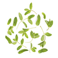 BoxNCase Organic Mint