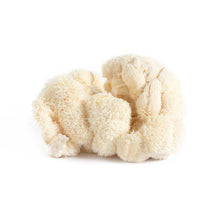 Wholesale BoxNCase Pom Pom Mushrooms- Bulk