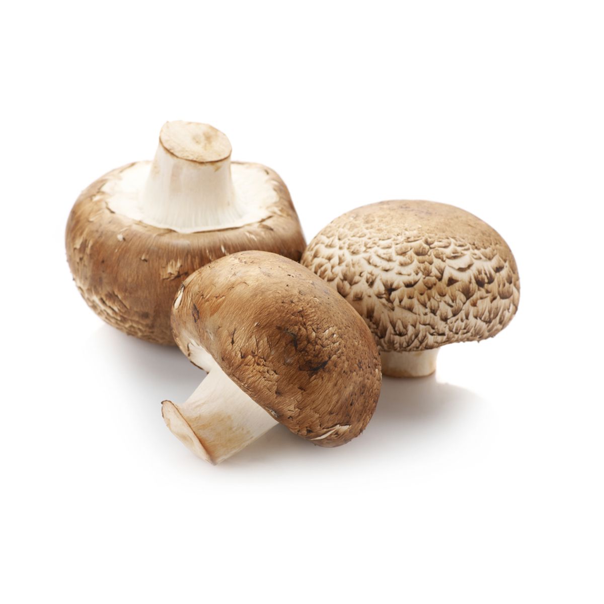 Wholesale Mother Earth Organic Whole Cremini Mushrooms 8 OZ- Bulk