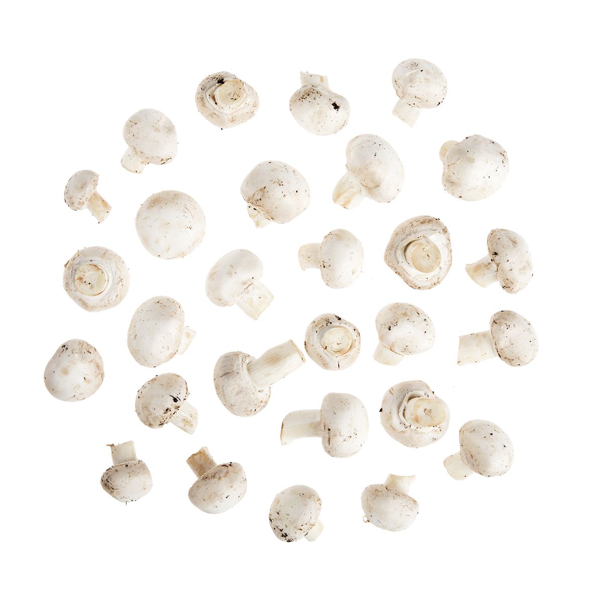 Wholesale BoxNCase Organic Medium White Mushrooms- Bulk
