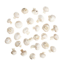Wholesale BoxNCase Organic Medium White Mushrooms- Bulk