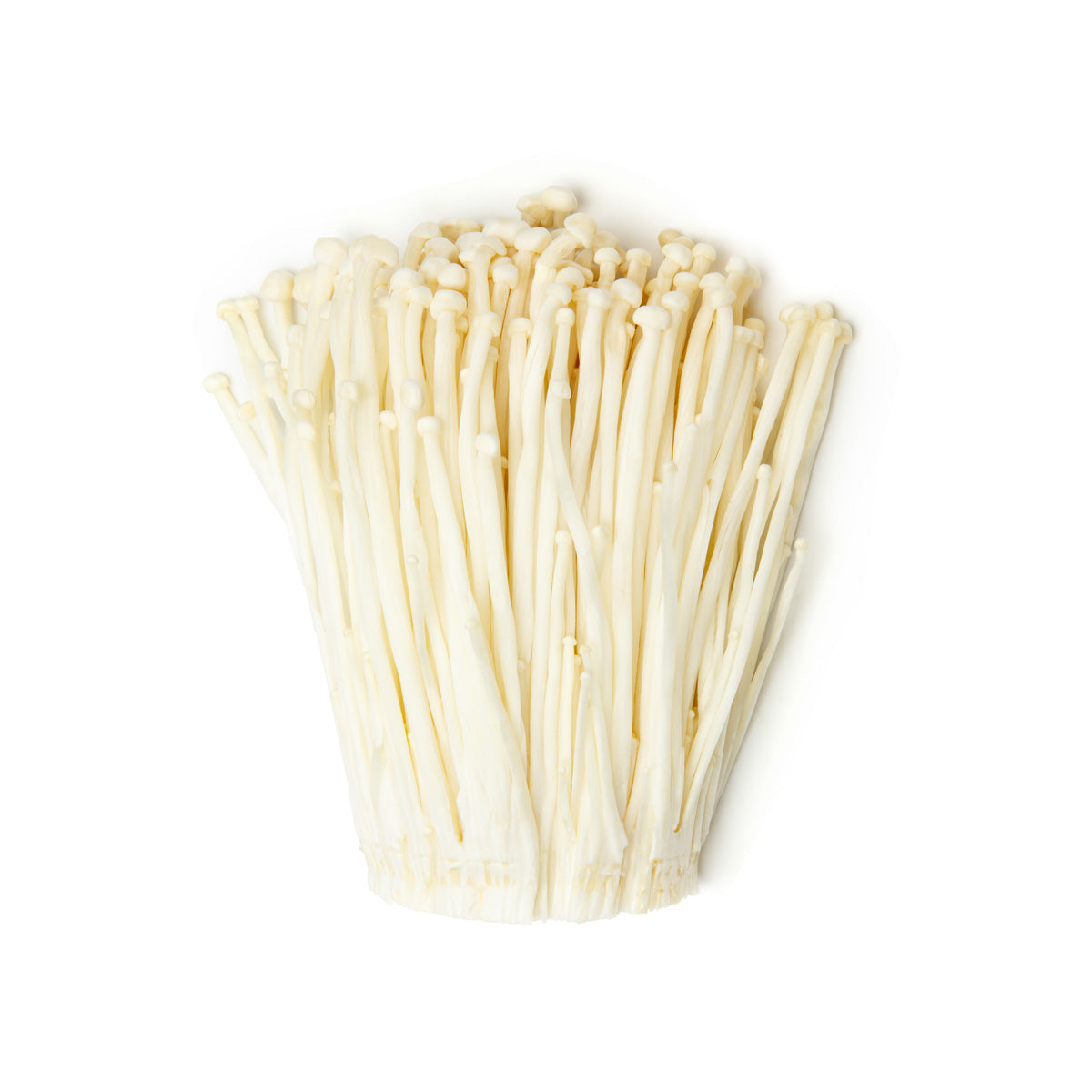 Wholesale BoxNCase Organic Enoki Mushrooms- Bulk