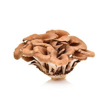 Wholesale BoxNCase Organic Maitake / Hen of the Woods Mushrooms 3.5 OZ- Bulk