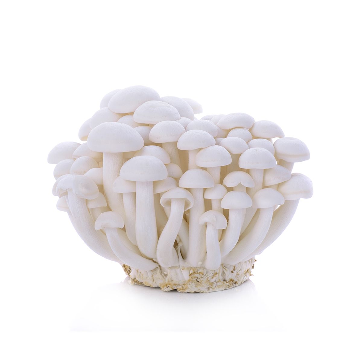 BoxNCase Organic White Beech Mushrooms 3.5 OZ