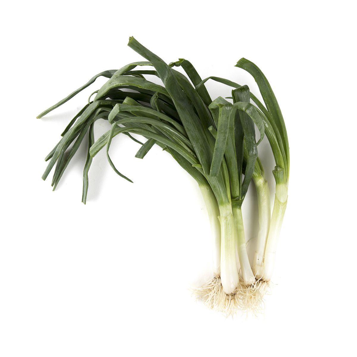 Wholesale Good & Gather Green Onions 5.5oz 12ct-12ct Bulk