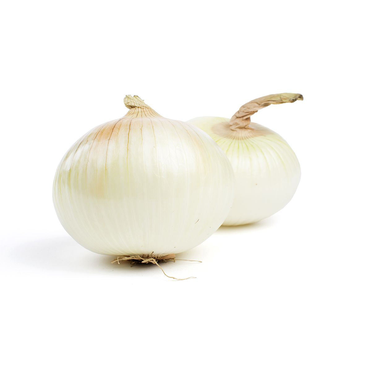 Wholesale Lancaster Farm Fresh Organic Sweet Onions- Bulk