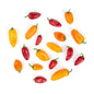 Wholesale Lancaster Farm Fresh Organic Mixed Mini Sweet Peppers 1 LB- Bulk