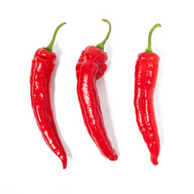 Wholesale Norwich Meadows Farm Organic Red Gemelli Mazinna Peppers- Bulk