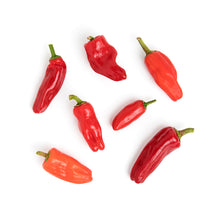 Wholesale Norwich Meadows Farm Organic Aleppo Peppers- Bulk