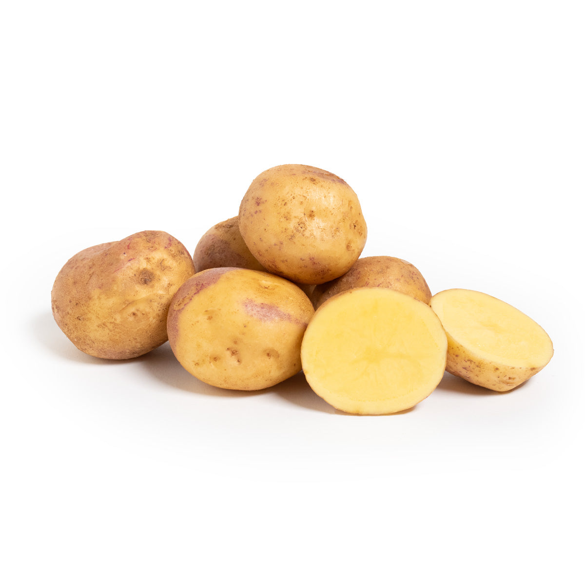 Wholesale Row 7 Seed Company Organic Dakota Dawn Potatoes- Bulk