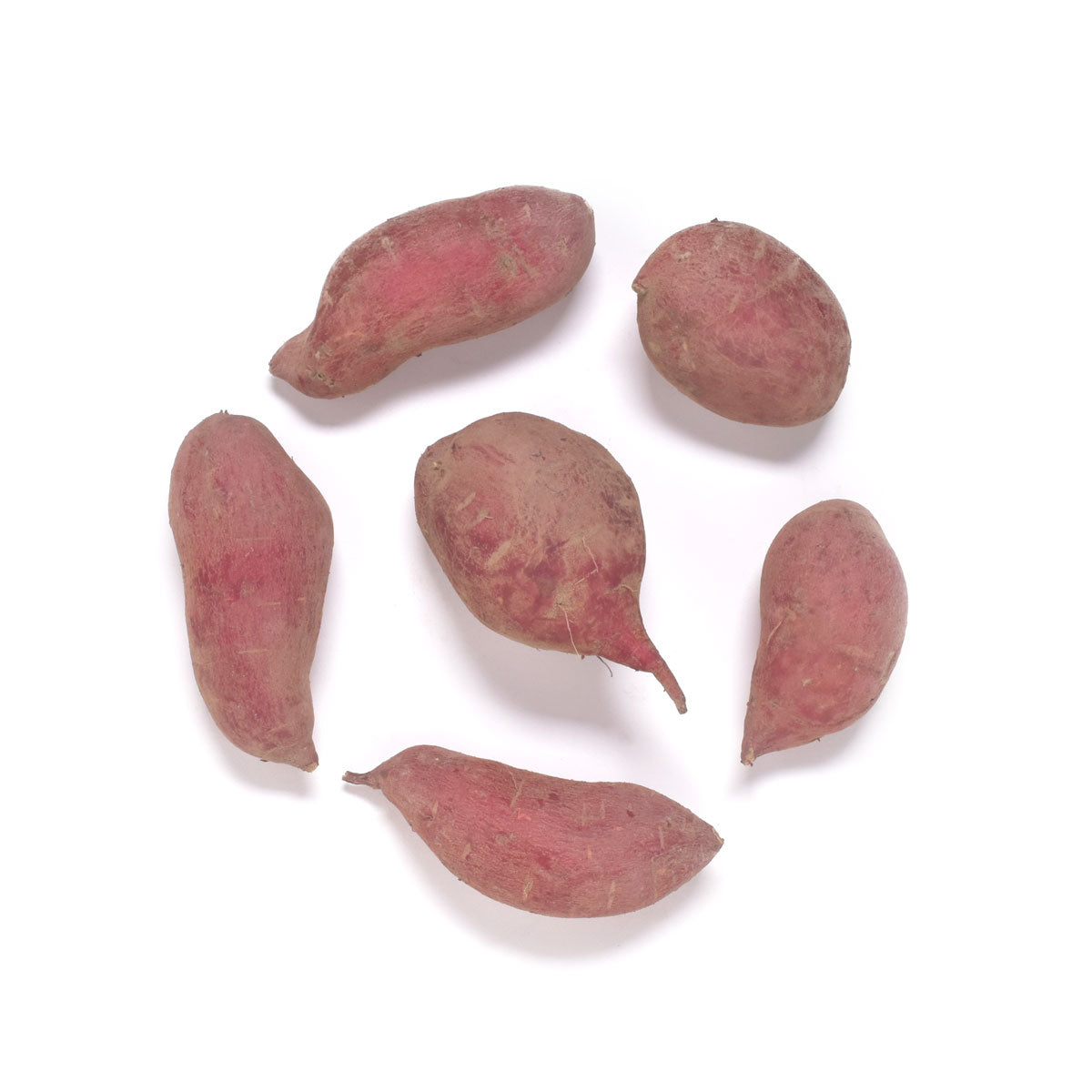 Wholesale BoxNCase Organic Baby Japanese Yams-10 LB Bulk