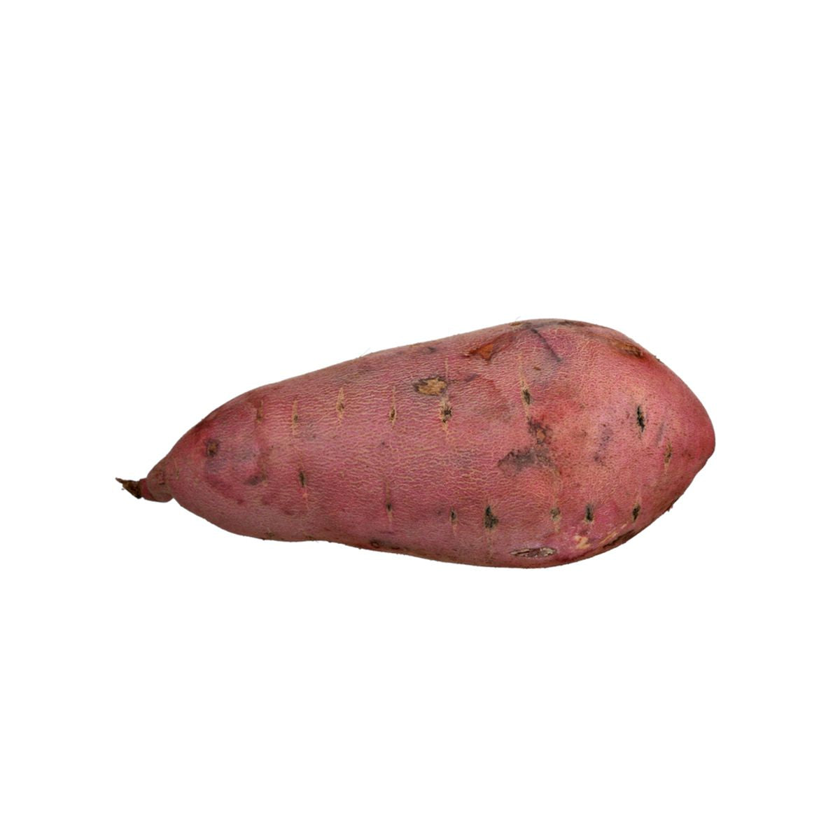 Wholesale BoxNCase Organic Garnet Yams-20 LB Bulk