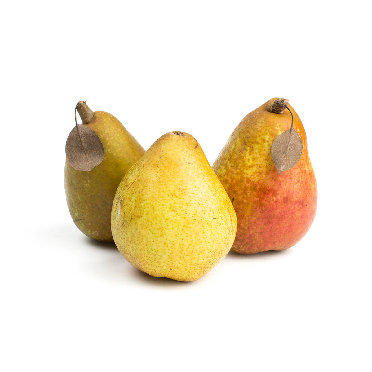 Wholesale Frog Hollow Farm Organic Warren Pears 1 LB-16ct Case Bulk