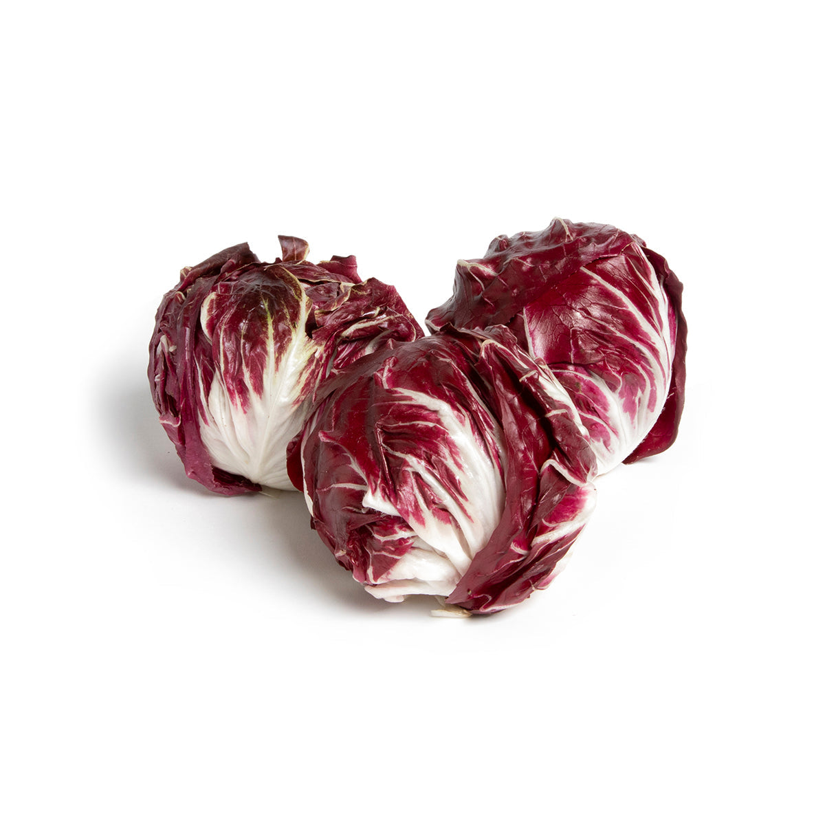 Wholesale Kitchen Garden Farm Organic Chioggia Radicchio- Bulk