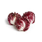 Wholesale Kitchen Garden Farm Organic Chioggia Radicchio- Bulk