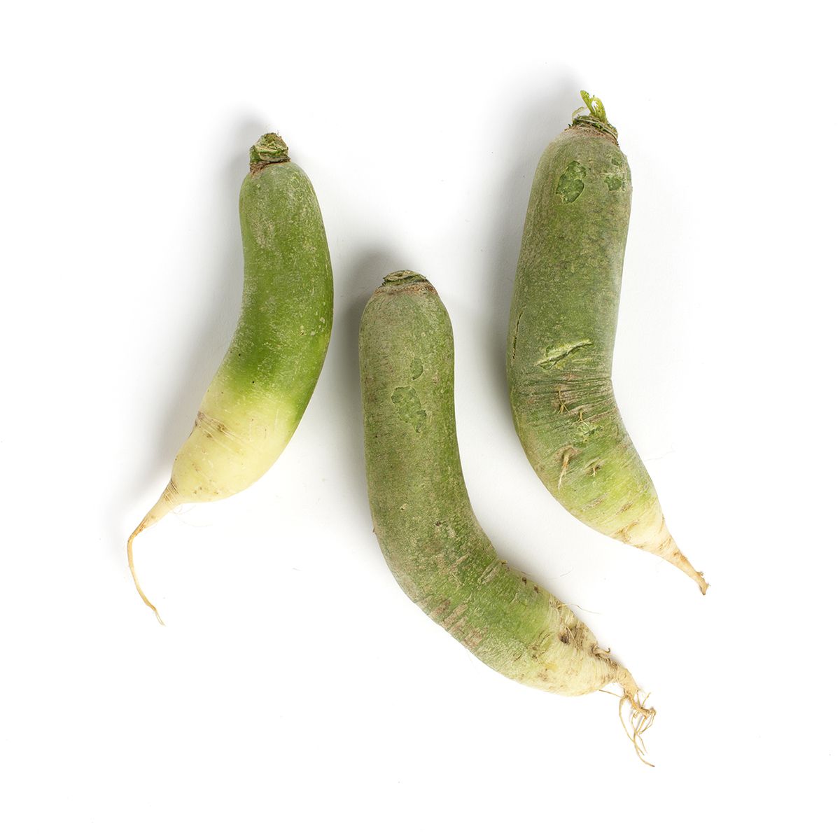 Norwich Meadows Farm Organic Green Meat Radishes