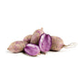 Wholesale Norwich Meadows Farm Organic Purple Bordeaux Daikon Radishes- Bulk