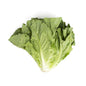 Wholesale BoxNCase Organic Romaine Lettuce- Bulk