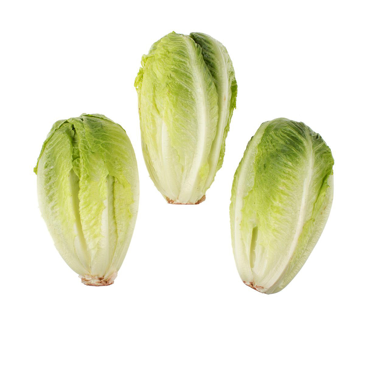 Tanimura & Antle Organic Artisan Baby Romaine 2 CT