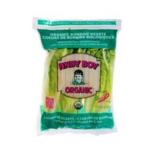 Wholesale D'Arrigo Organic Andy Boy Romaine Hearts 18 Oz Bag- Bulk