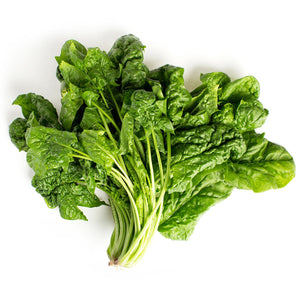 Wholesale BoxNCase Organic Bunched Spinach-24 CT Bulk