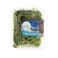 Wholesale Jonathan Sprouts Organic Pea Shoots 6 OZ- Bulk