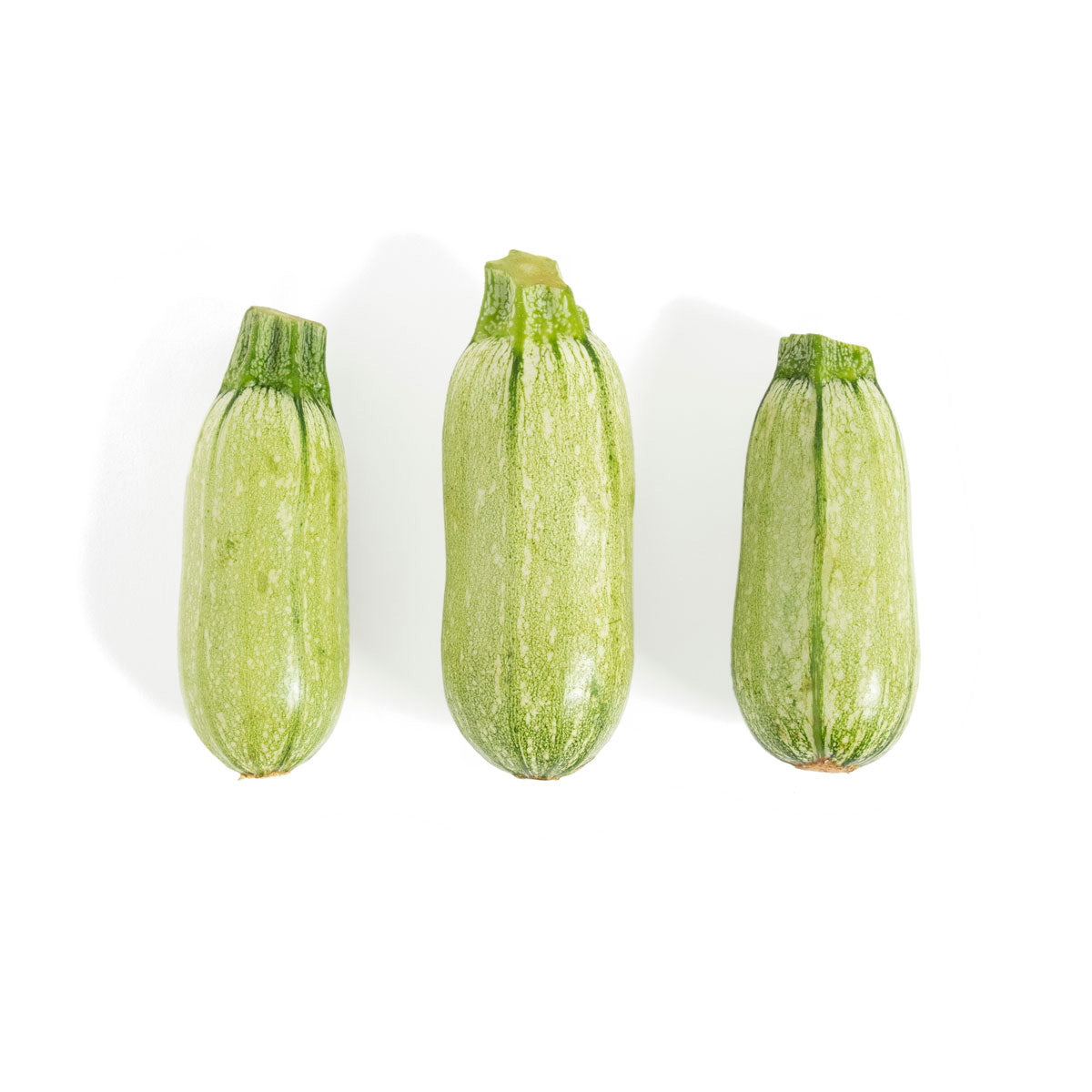 Wholesale Norwich Meadows Farm Haifa's Finest Organic Cousa Zucchini-18 LB Bulk