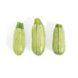 Wholesale Norwich Meadows Farm Haifa's Finest Organic Cousa Zucchini-18 LB Bulk