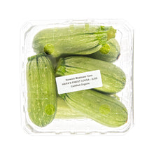 Wholesale Norwich Meadows Farm Haifa's Finest Organic Cousa Zucchini- Bulk