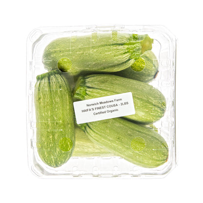 Wholesale Norwich Meadows Farm Haifa's Finest Organic Cousa Zucchini- Bulk