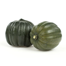 Wholesale BoxNCase Organic Acorn Squash- Bulk