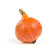 Wholesale Lancaster Farm Fresh Organic Red Kabocha Squash- Bulk