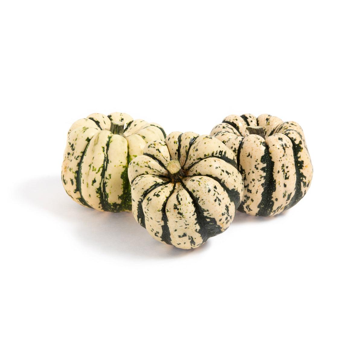 Wholesale Lancaster Farm Fresh Organic Sweet Dumpling Squash-35 LB Bulk