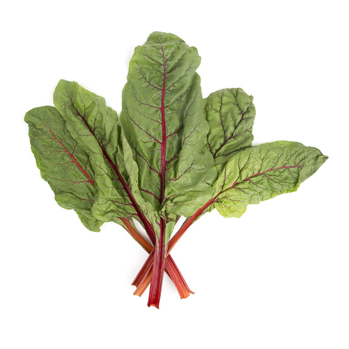 Wholesale BoxNCase Organic Red Swiss Chard- Bulk