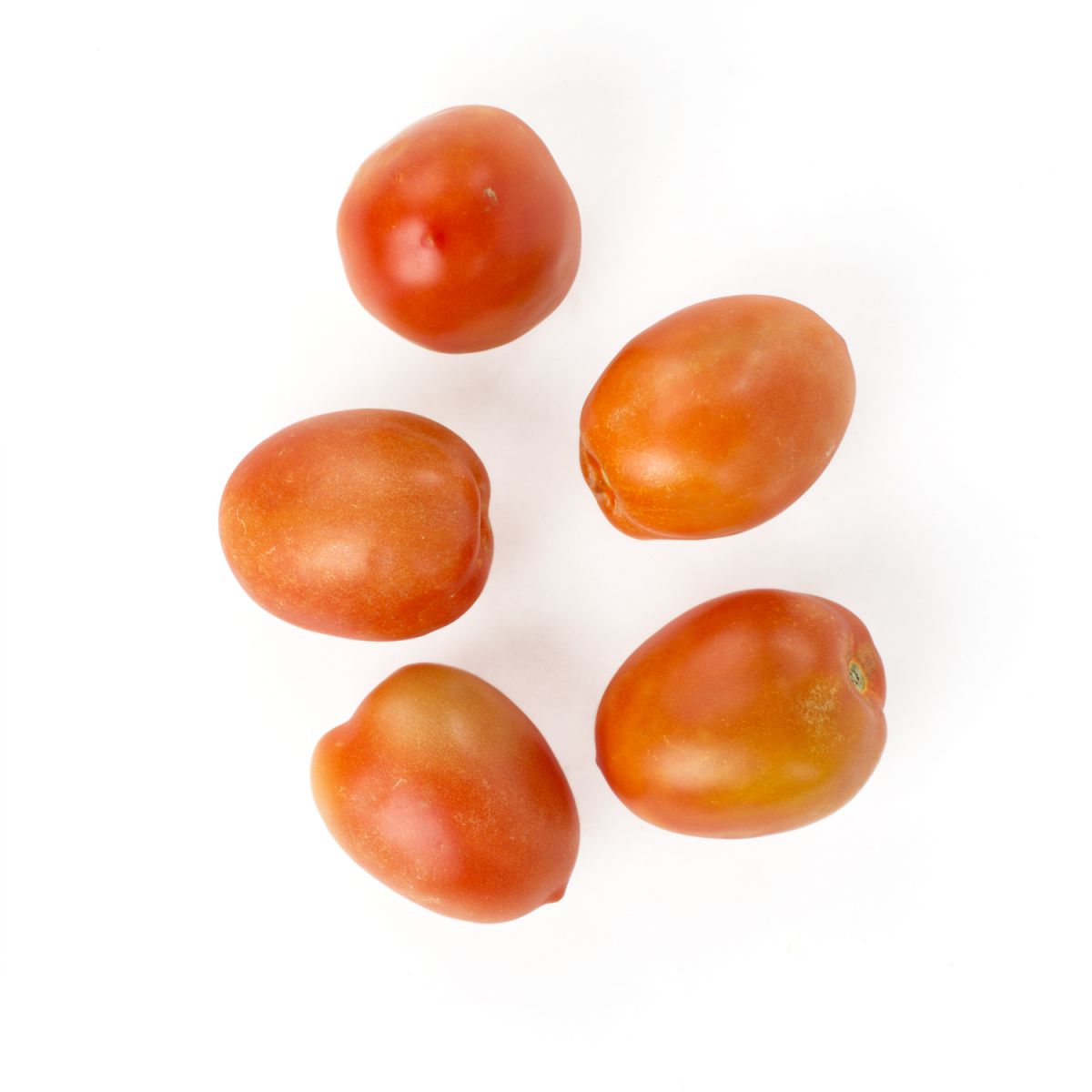 Wholesale BoxNCase Organic XL Plum Tomatoes-25 LB Bulk