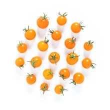Wholesale BoxNCase Local Organic Sungold Cherry Tomatoes 1 Pt- Bulk