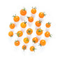 Wholesale BoxNCase Local Organic Sungold Cherry Tomatoes 1 Pt- Bulk