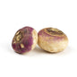 Wholesale Lancaster Farm Fresh Organic Turnips- Bulk