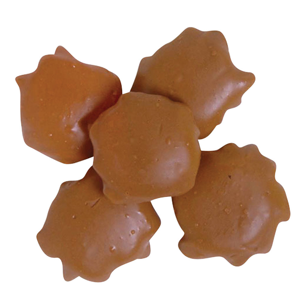 Wholesale BoxNCase Milk Chocolate Binable Pecan Cashew Turtles- Bulk
