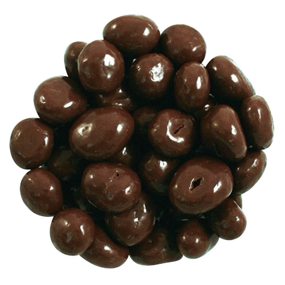 Wholesale BoxNCase Milk Chocolate Jumbo Sun Ripened Raisins- Bulk