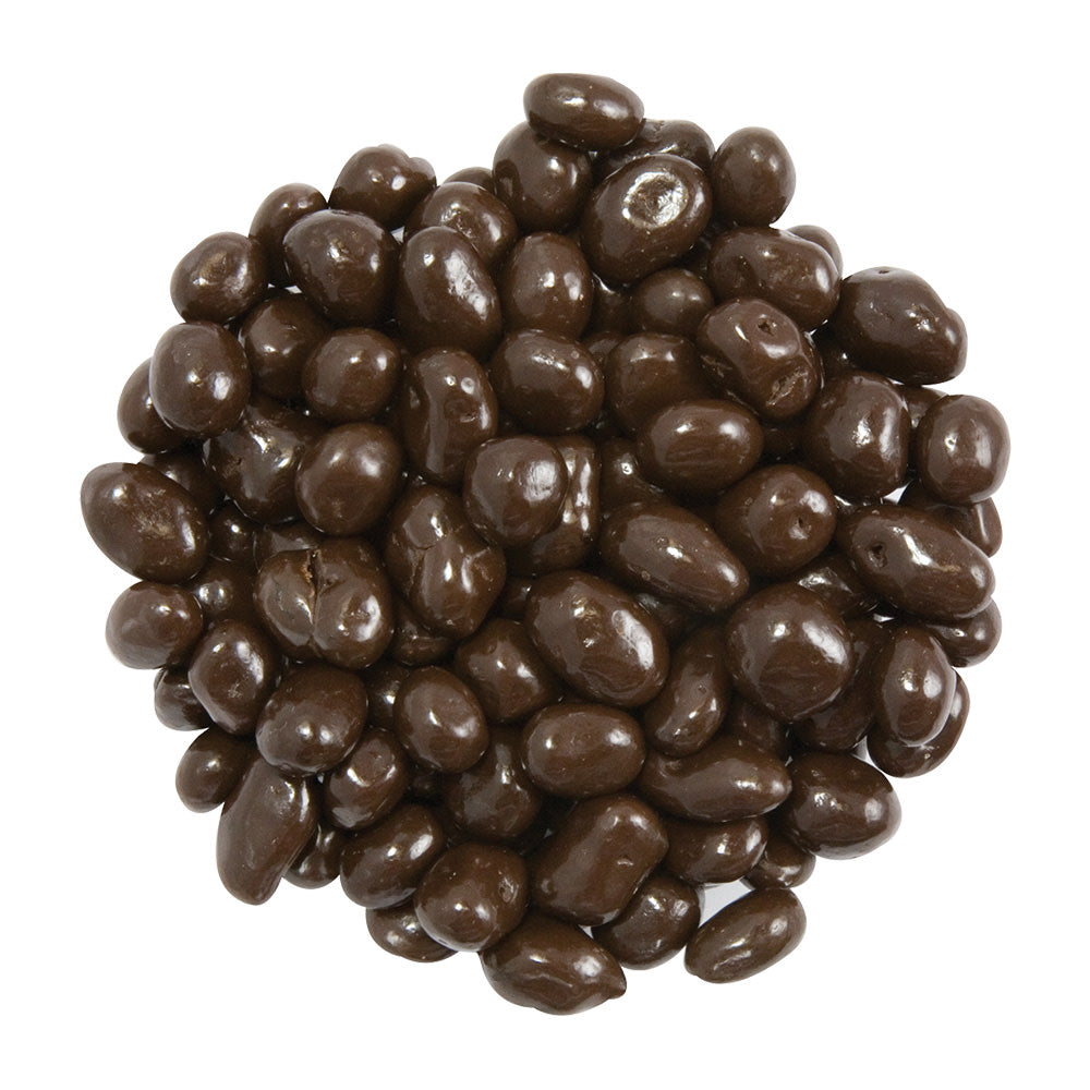 Wholesale BoxNCase Dark Chocolate Raisins- Bulk