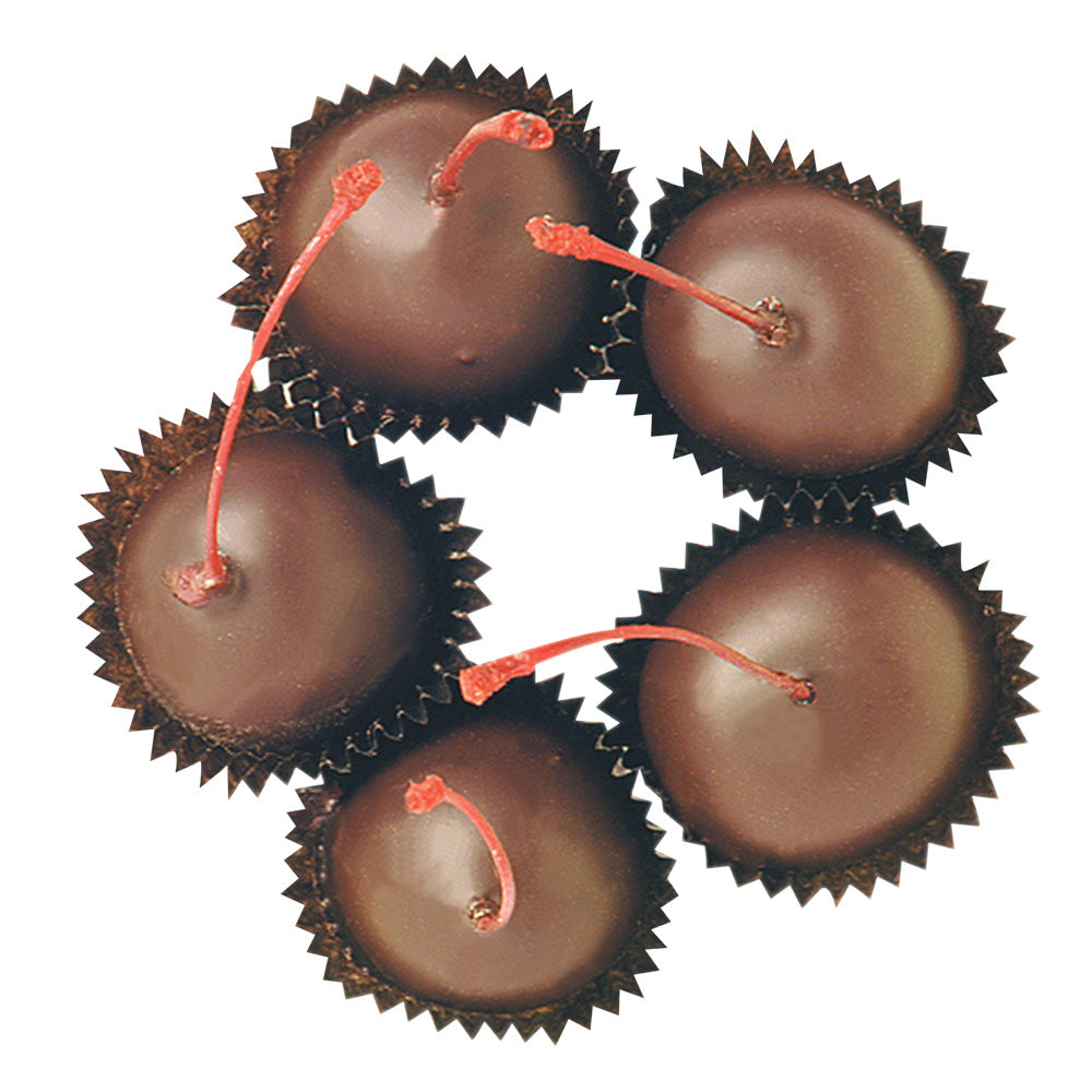 BoxNCase Dark Chocolate Stem Cherries