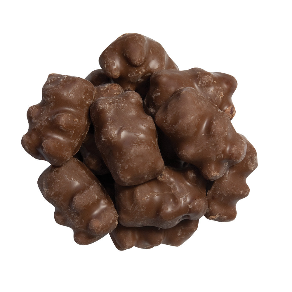Wholesale Sweet Candy Chocolate Covered Cinnamon Bears- Bulk